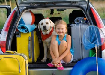 découvrez nos conseils pour choisir la voiture idéale pour vos vacances : confort, économie et sécurité. profitez de vos déplacements avec des astuces pour préparer votre voyage en toute sérénité.