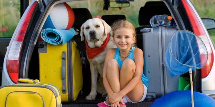 découvrez nos conseils pour choisir la voiture idéale pour vos vacances : confort, économie et sécurité. profitez de vos déplacements avec des astuces pour préparer votre voyage en toute sérénité.