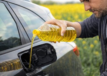 Voiture et huile de colza : une alternative durable au diesel ?