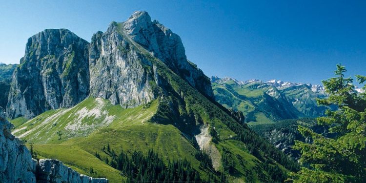 découvrez comment le crédit agricole a enregistré une forte hausse de sa marge nette d'intérêts au deuxième trimestre, reflet de ses performances financières solides.